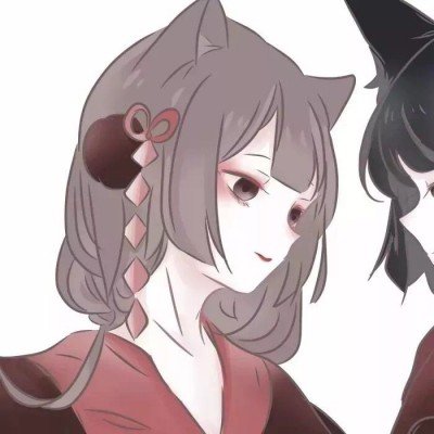 狗狗未牵绳被碾压主人当场崩溃